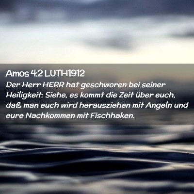 Picture 02 - Amos 4:2 LUTH1912 - Der Herr HERR hat geschworen bei seiner - Bible Verse Picture