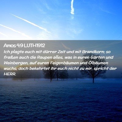 Picture 02 - Amos 4:9 LUTH1912 - Ich plagte euch mit dürrer Zeit und mit - Bible Verse Picture