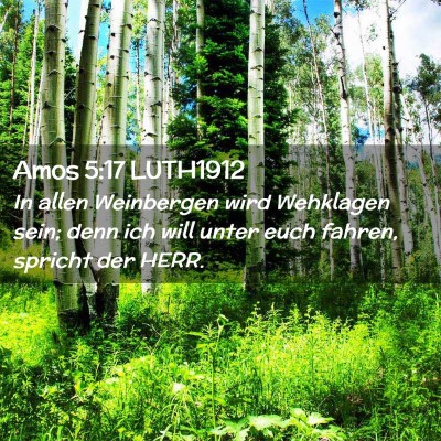 Picture 02 - Amos 5:17 LUTH1912 - In allen Weinbergen wird Wehklagen sein; denn ich - Bible Verse Picture