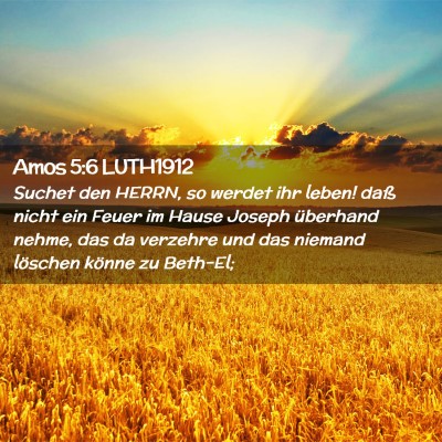 Picture 02 - Amos 5:6 LUTH1912 - Suchet den HERRN, so werdet ihr leben! daß nicht - Bible Verse Picture