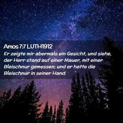 Picture 02 - Amos 7:7 LUTH1912 - Er zeigte mir abermals ein Gesicht, und siehe, - Bible Verse Picture