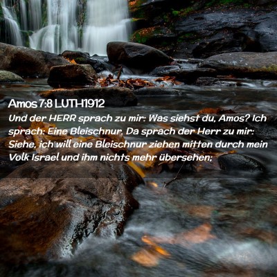 Picture 02 - Amos 7:8 LUTH1912 - Und der HERR sprach zu mir: Was siehst du, Amos? - Bible Verse Picture