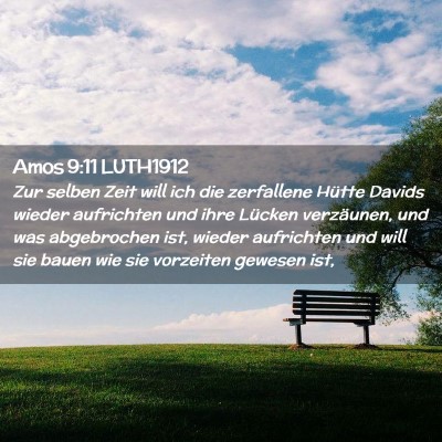 Picture 02 - Amos 9:11 LUTH1912 - Zur selben Zeit will ich die zerfallene Hütte - Bible Verse Picture