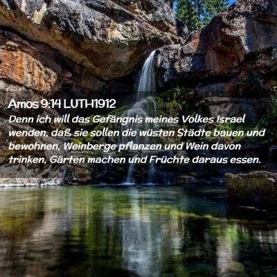 Picture 02 - Amos 9:14 LUTH1912 - Denn ich will das Gefängnis meines Volkes Israel - Bible Verse Picture
