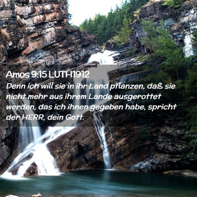 Picture 02 - Amos 9:15 LUTH1912 - Denn ich will sie in ihr Land pflanzen, daß sie - Bible Verse Picture