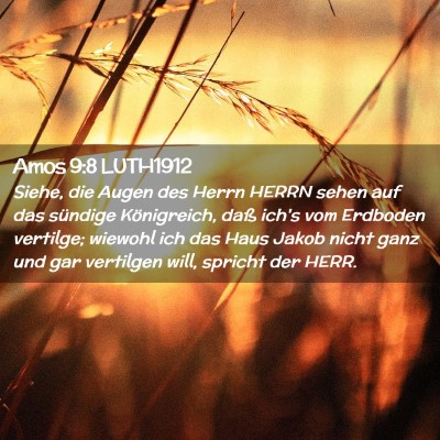 Picture 02 - Amos 9:8 LUTH1912 - Siehe, die Augen des Herrn HERRN sehen auf das - Bible Verse Picture