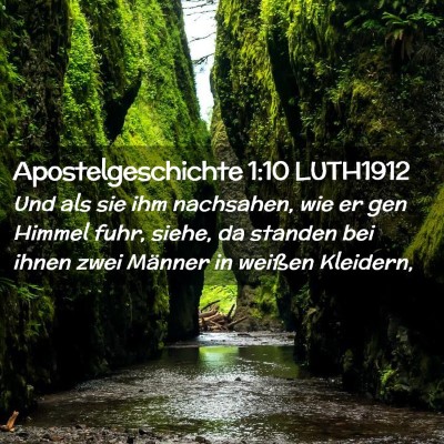 Picture 02 - Apostelgeschichte 1:10 LUTH1912 - Und als sie ihm nachsahen, wie er gen Himmel - Bible Verse Picture