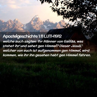 Picture 02 - Apostelgeschichte 1:11 LUTH1912 - welche auch sagten: Ihr Männer von Galiläa, was - Bible Verse Picture