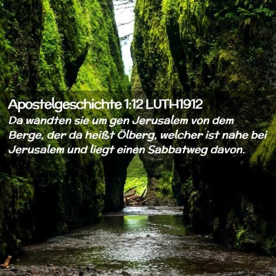Picture 02 - Apostelgeschichte 1:12 LUTH1912 - Da wandten sie um gen Jerusalem von dem Berge, - Bible Verse Picture