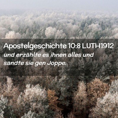 Picture 02 - Apostelgeschichte 10:8 LUTH1912 - und erzählte es ihnen alles und sandte sie gen - Bible Verse Picture