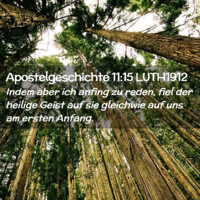 Picture 02 - Apostelgeschichte 11:15 LUTH1912 - Indem aber ich anfing zu reden, fiel der heilige - Bible Verse Picture