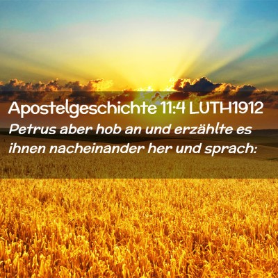 Picture 02 - Apostelgeschichte 11:4 LUTH1912 - Petrus aber hob an und erzählte es ihnen - Bible Verse Picture