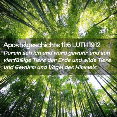 Picture 02 - Apostelgeschichte 11:6 LUTH1912 - Darein sah ich und ward gewahr und sah - Bible Verse Picture