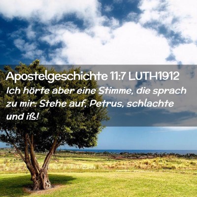 Picture 02 - Apostelgeschichte 11:7 LUTH1912 - Ich hörte aber eine Stimme, die sprach zu mir: - Bible Verse Picture