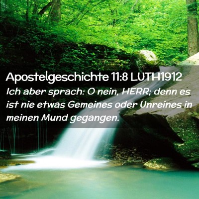 Picture 02 - Apostelgeschichte 11:8 LUTH1912 - Ich aber sprach: O nein, HERR; denn es ist nie - Bible Verse Picture