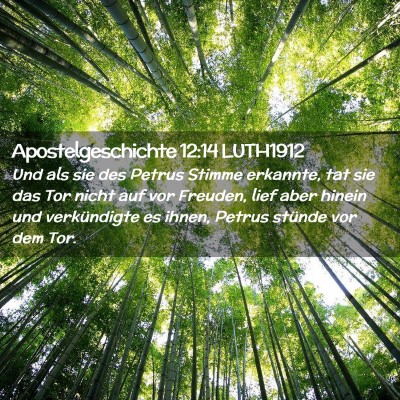 Picture 02 - Apostelgeschichte 12:14 LUTH1912 - Und als sie des Petrus Stimme erkannte, tat sie - Bible Verse Picture
