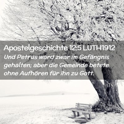 Picture 02 - Apostelgeschichte 12:5 LUTH1912 - Und Petrus ward zwar im Gefängnis gehalten; aber - Bible Verse Picture
