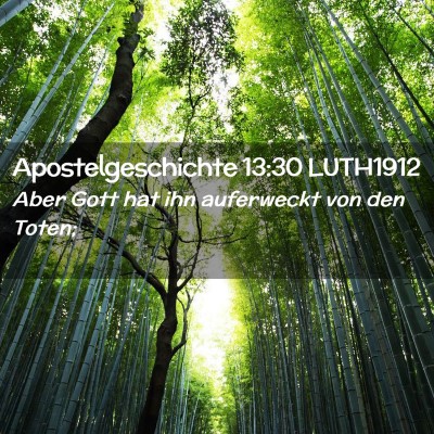 Picture 02 - Apostelgeschichte 13:30 LUTH1912 - Aber Gott hat ihn auferweckt von den - Bible Verse Picture