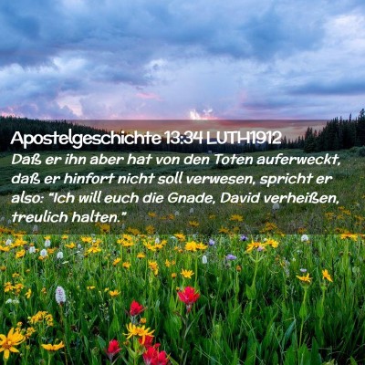 Picture 02 - Apostelgeschichte 13:34 LUTH1912 - Daß er ihn aber hat von den Toten auferweckt, - Bible Verse Picture