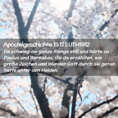 Picture 02 - Apostelgeschichte 15:12 LUTH1912 - Da schwieg die ganze Menge still und hörte zu - Bible Verse Picture