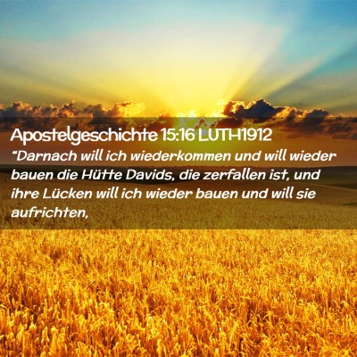 Picture 02 - Apostelgeschichte 15:16 LUTH1912 - “Darnach will ich wiederkommen und will wieder - Bible Verse Picture