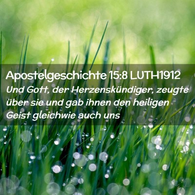 Picture 02 - Apostelgeschichte 15:8 LUTH1912 - Und Gott, der Herzenskündiger, zeugte über sie - Bible Verse Picture