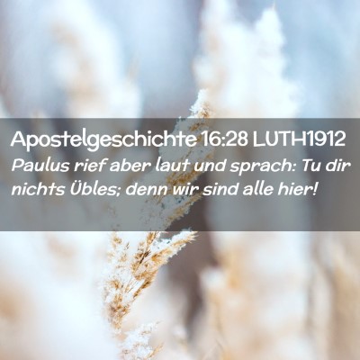 Picture 02 - Apostelgeschichte 16:28 LUTH1912 - Paulus rief aber laut und sprach: Tu dir nichts - Bible Verse Picture