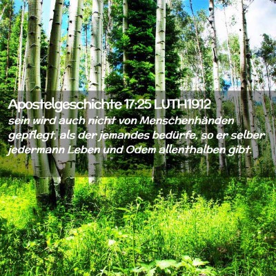 Picture 02 - Apostelgeschichte 17:25 LUTH1912 - sein wird auch nicht von Menschenhänden - Bible Verse Picture