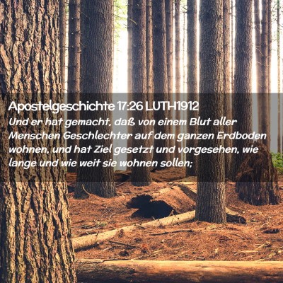 Picture 02 - Apostelgeschichte 17:26 LUTH1912 - Und er hat gemacht, daß von einem Blut aller - Bible Verse Picture