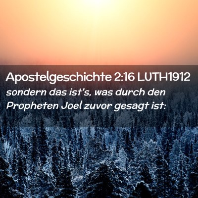 Picture 02 - Apostelgeschichte 2:16 LUTH1912 - sondern das ist's, was durch den Propheten Joel - Bible Verse Picture
