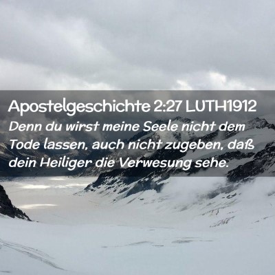 Picture 02 - Apostelgeschichte 2:27 LUTH1912 - Denn du wirst meine Seele nicht dem Tode lassen, - Bible Verse Picture