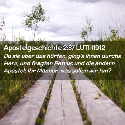 Picture 02 - Apostelgeschichte 2:37 LUTH1912 - Da sie aber das hörten, ging's ihnen durchs - Bible Verse Picture