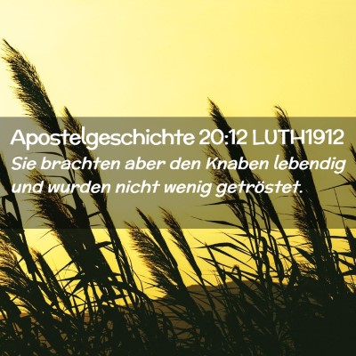 Picture 02 - Apostelgeschichte 20:12 LUTH1912 - Sie brachten aber den Knaben lebendig und wurden - Bible Verse Picture