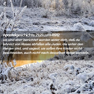 Picture 02 - Apostelgeschichte 21:21 LUTH1912 - sie sind aber berichtet worden wider dich, daß - Bible Verse Picture