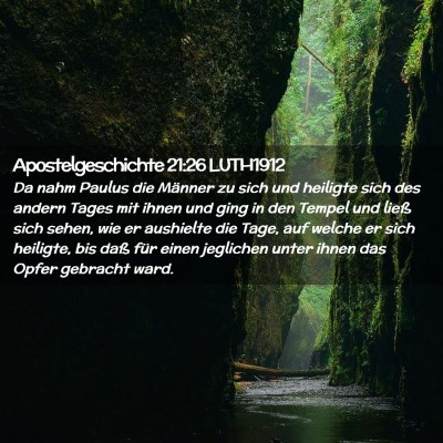 Picture 02 - Apostelgeschichte 21:26 LUTH1912 - Da nahm Paulus die Männer zu sich und heiligte - Bible Verse Picture