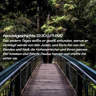 Picture 02 - Apostelgeschichte 22:30 LUTH1912 - Des andern Tages wollte er gewiß erkunden, warum - Bible Verse Picture
