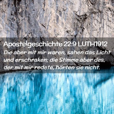 Picture 02 - Apostelgeschichte 22:9 LUTH1912 - Die aber mit mir waren, sahen das Licht und - Bible Verse Picture