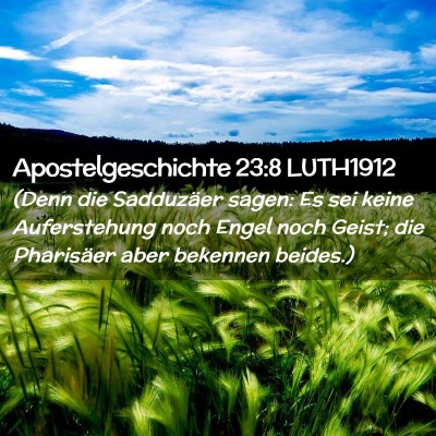 Picture 02 - Apostelgeschichte 23:8 LUTH1912 - (Denn die Sadduzäer sagen: Es sei keine - Bible Verse Picture