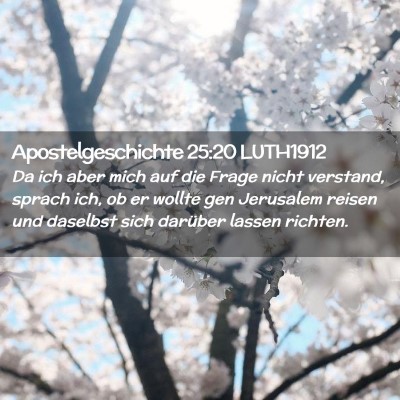 Picture 02 - Apostelgeschichte 25:20 LUTH1912 - Da ich aber mich auf die Frage nicht verstand, - Bible Verse Picture