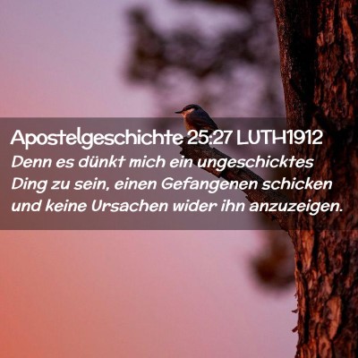 Picture 02 - Apostelgeschichte 25:27 LUTH1912 - Denn es dünkt mich ein ungeschicktes Ding zu - Bible Verse Picture