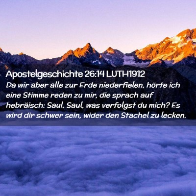 Picture 02 - Apostelgeschichte 26:14 LUTH1912 - Da wir aber alle zur Erde niederfielen, hörte - Bible Verse Picture