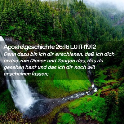 Picture 02 - Apostelgeschichte 26:16 LUTH1912 - Denn dazu bin ich dir erschienen, daß ich dich - Bible Verse Picture