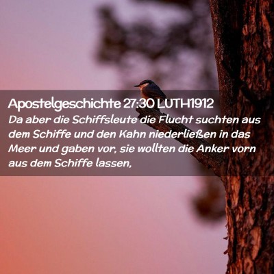 Picture 02 - Apostelgeschichte 27:30 LUTH1912 - Da aber die Schiffsleute die Flucht suchten aus - Bible Verse Picture