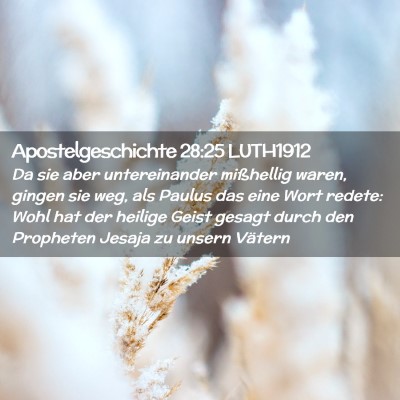 Picture 02 - Apostelgeschichte 28:25 LUTH1912 - Da sie aber untereinander mißhellig waren, - Bible Verse Picture
