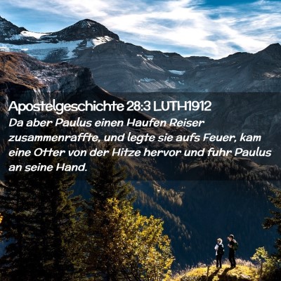 Picture 02 - Apostelgeschichte 28:3 LUTH1912 - Da aber Paulus einen Haufen Reiser - Bible Verse Picture