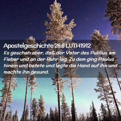 Picture 02 - Apostelgeschichte 28:8 LUTH1912 - Es geschah aber, daß der Vater des Publius am - Bible Verse Picture