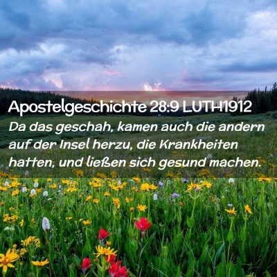 Picture 02 - Apostelgeschichte 28:9 LUTH1912 - Da das geschah, kamen auch die andern auf der - Bible Verse Picture