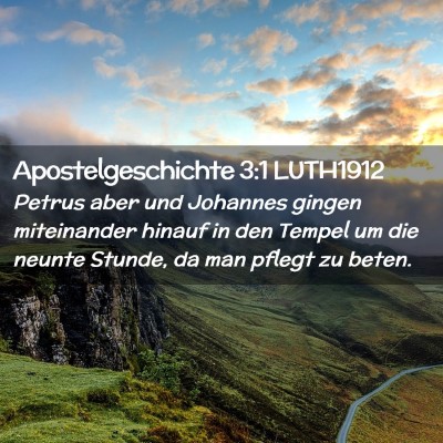Picture 02 - Apostelgeschichte 3:1 LUTH1912 - Petrus aber und Johannes gingen miteinander - Bible Verse Picture