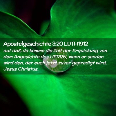 Picture 02 - Apostelgeschichte 3:20 LUTH1912 - auf daß da komme die Zeit der Erquickung von dem - Bible Verse Picture