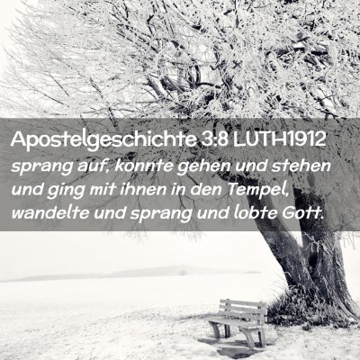 Picture 02 - Apostelgeschichte 3:8 LUTH1912 - sprang auf, konnte gehen und stehen und ging mit - Bible Verse Picture